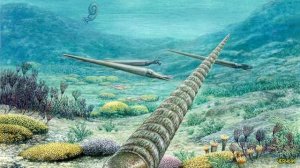 История Земли / [Наука по Чёрному]