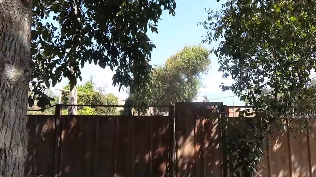 314 ч. СРОЧНАЯ Продажа дома в хуторе Лебеди. Обзор дома. смотреть онлайн