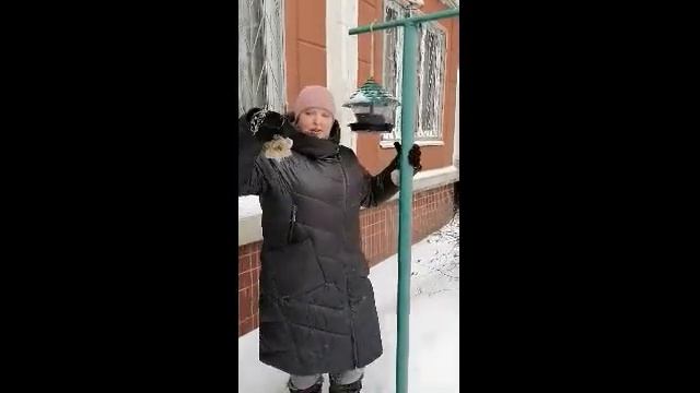 ЭКО-АКЦИЯ "Покорми птиц зимой" смотреть онлайн