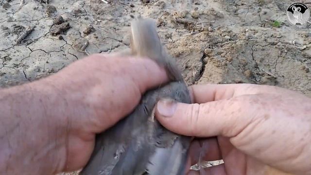 #Природные явления смотреть онлайн