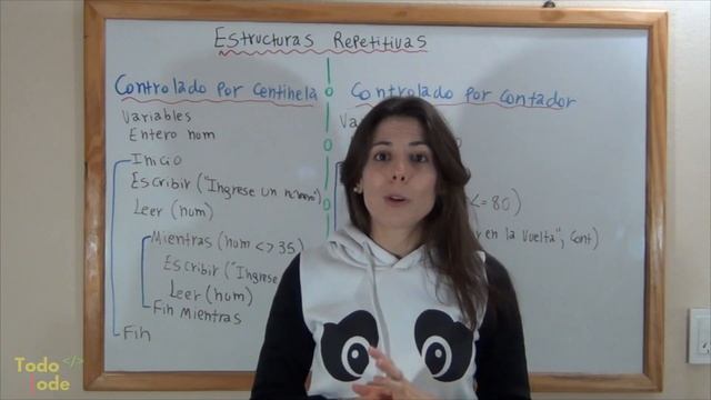 BUCLES controlados por CENTINELA y CONTADOR ??️| Introducción a los ALGORITMOS y la PROGRAMACIÓN #1 смотреть онлайн