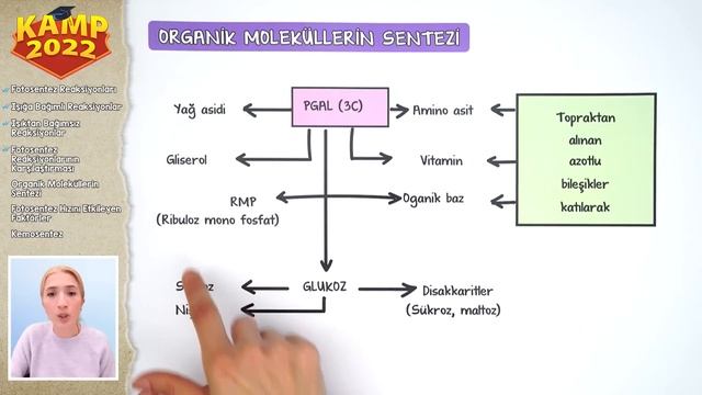 Fotosentez - 2 | AYT Biyoloji #Kamp2022 смотреть онлайн