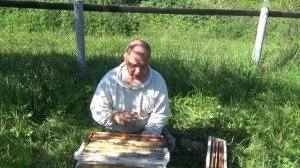 Совершенная Среднерусская пчела!