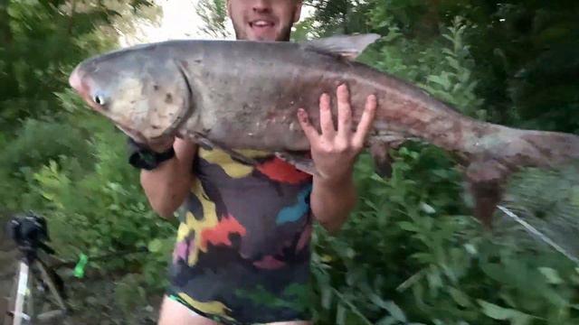 Vito Fish. Порыбачим вместе? Рыбалка, Природа, Огонь, Вода! смотреть онлайн