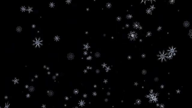 Футаж падает снег на черном фоне | Footage of snow falling on a black background смотреть онлайн
