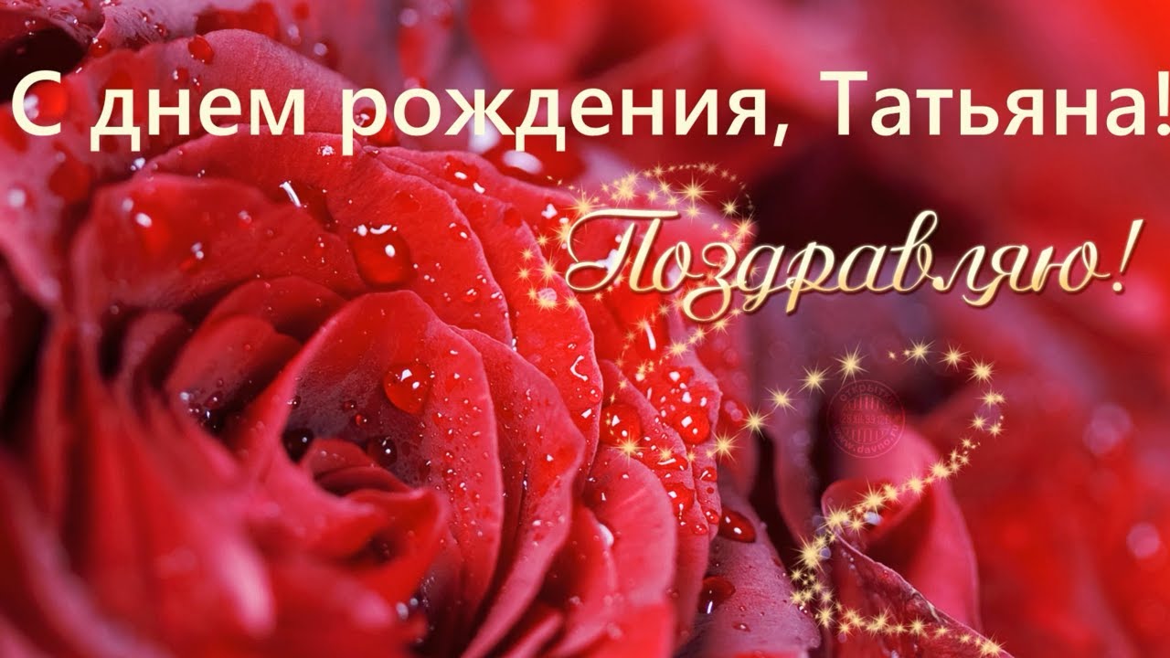 ТАНЕЧКА, С ДНЕМ РОЖДЕНИЯ!!! смотреть онлайн