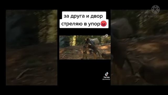 собака сражался с волком и на и на волка напали лев Олег защищал собаку Брат за брата