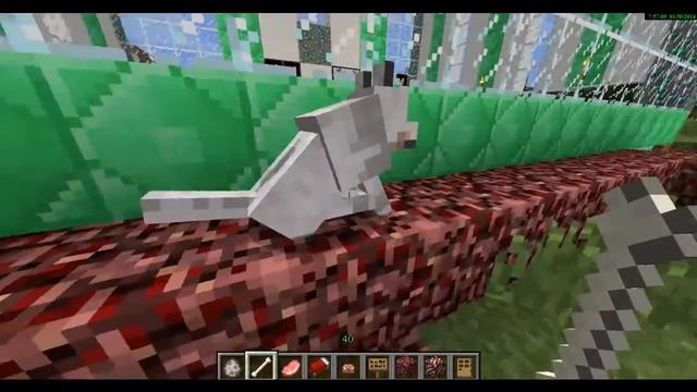 Как приручить? #1 Приручаем волка в Minecraft смотреть онлайн