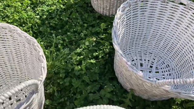 Кашпо плетеное для контейнерного озеления террасы смотреть онлайн