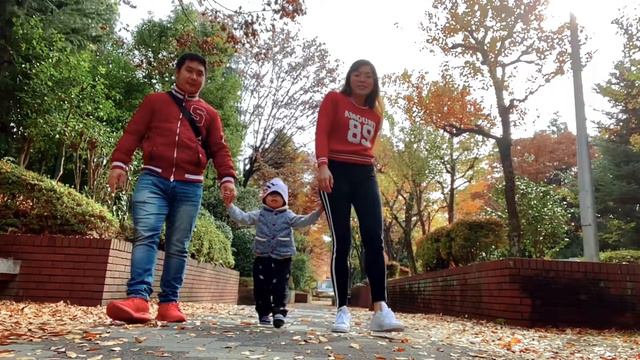 JAPAN VLOG || Autumn Season In Japan