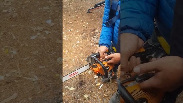 How to start a echo cs 360 chainsaw смотреть онлайн