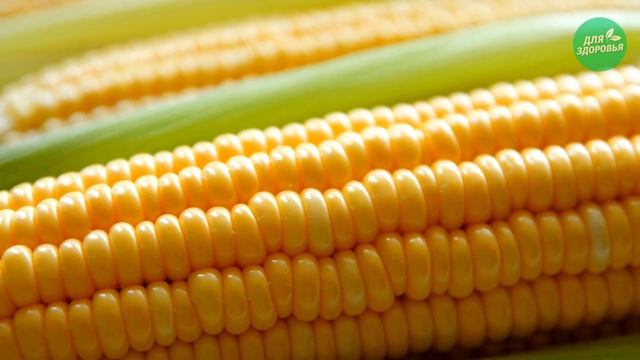 Вот как Кукуруза влияет на организм! 90% людей этого не знают, а зря! Посмотри... #shorts #youtube смотреть онлайн