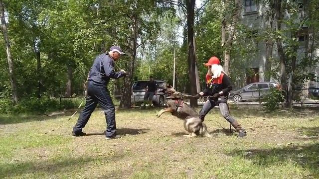 НО РР Мери (14 мес) ТРЕНИНГ по защите от 23 июня 2018 г. смотреть онлайн