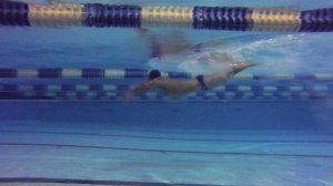 ПЛАВАНИЕ БАТТЕРФЛЯЙ: СЕКРЕТНЫЕ ПРИЕМЫ