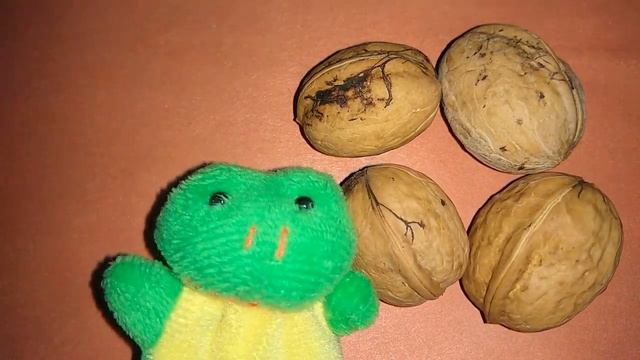 ЧЕМ ПОЛЕЗНЫ ОРЕХИ? Польза ОРЕХОВ для МОЗГА и УМА! смотреть онлайн