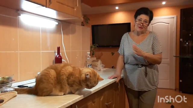 Счастье привалило 😂 поиметь захотела 😱 Кирпич на голову упал / Значит СУДЬБА смотреть онлайн