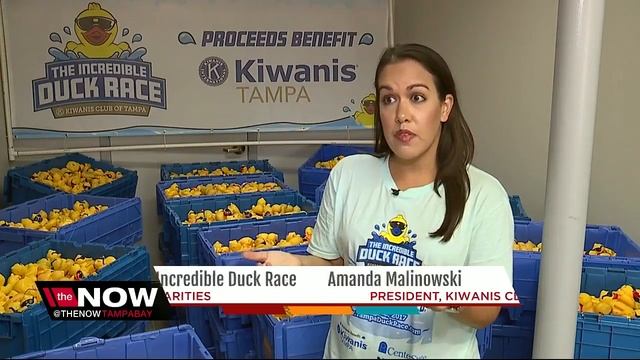 The Incredible Duck Race boasts 7,000 rubber duck race for charity смотреть онлайн