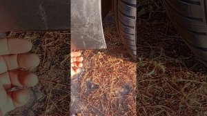 Солярис 2 ДХО! Замена лампы.