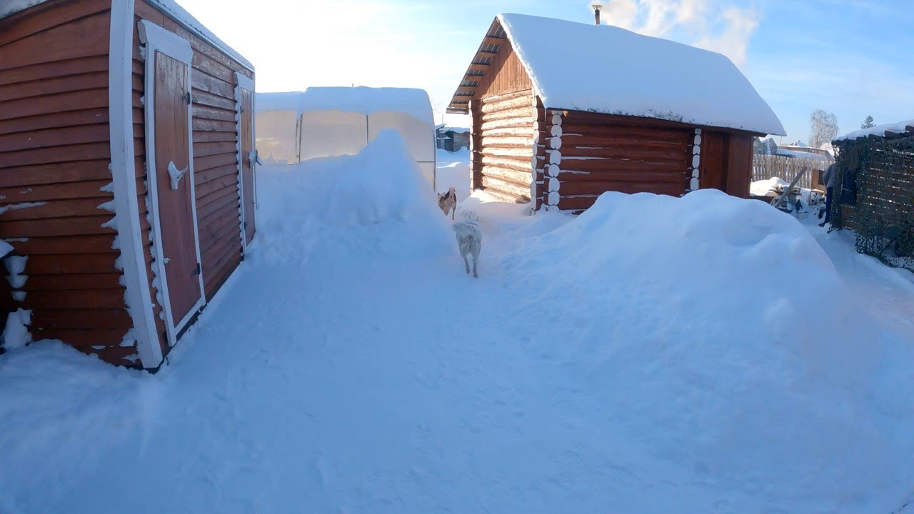 Жизнь в деревне Зима лайки дача мангал смотреть онлайн