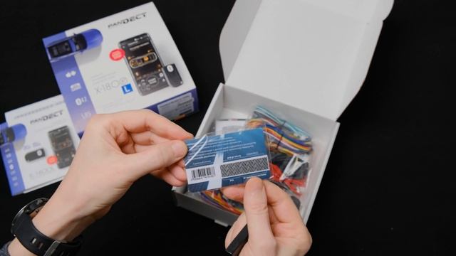 GSM-система по цене обычной! PanDECT X-1800L смотреть онлайн