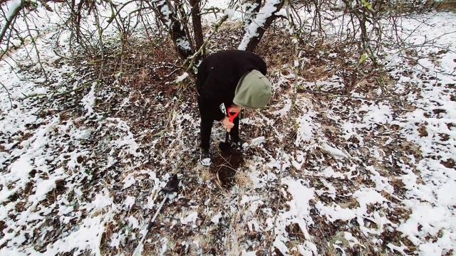 Золотая монета смотреть онлайн