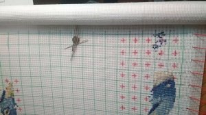 ТЭГ Вышивальный Алфавит @Inna Stitch #вышивка #вышивкакрестиком #многоцветка #александрстич