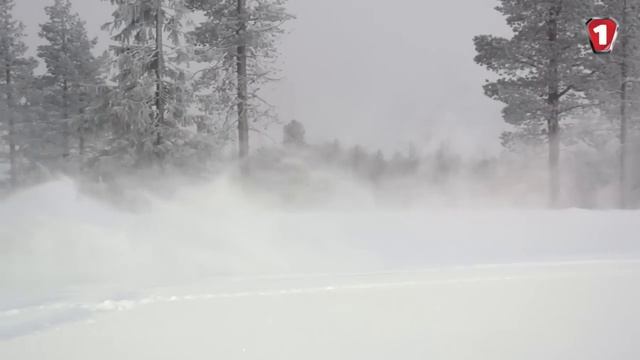 Обзор Nokian Hakkapeliitta 8