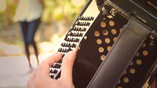 #10697, Dedos en los botones de un acordeon [Efecto], Instrumentos musicales смотреть онлайн