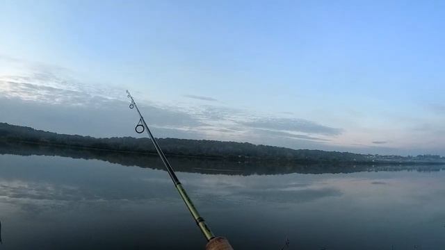 Интересная поклёвка! Рыбалка на хищника, а клюнул толстолоб на спиннинг! смотреть онлайн