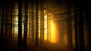 Мистическая Таинственная Музыка для чтения книг