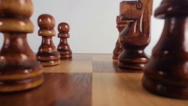 9 Awesome Macro Shots With Insta360 GO 2