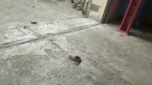 Четырехстоечный подъёмник