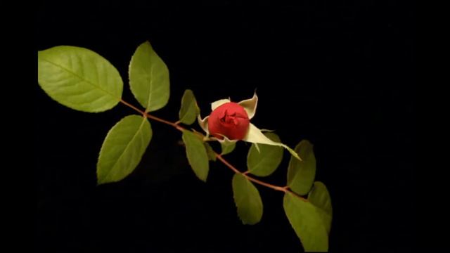 Demis Roussos - From Souvenirs To Souvenirs. смотреть онлайн