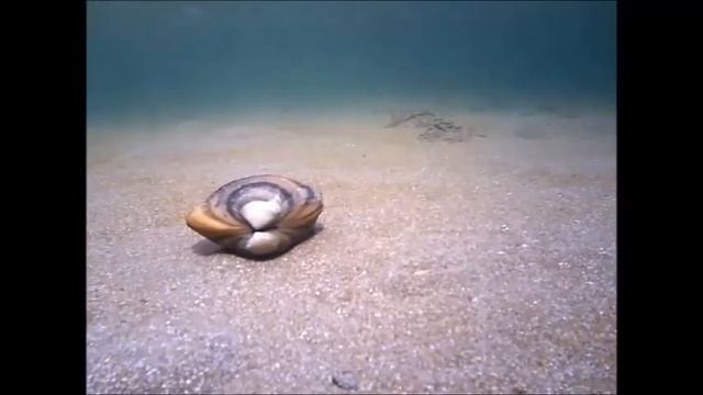 Секреты Умения