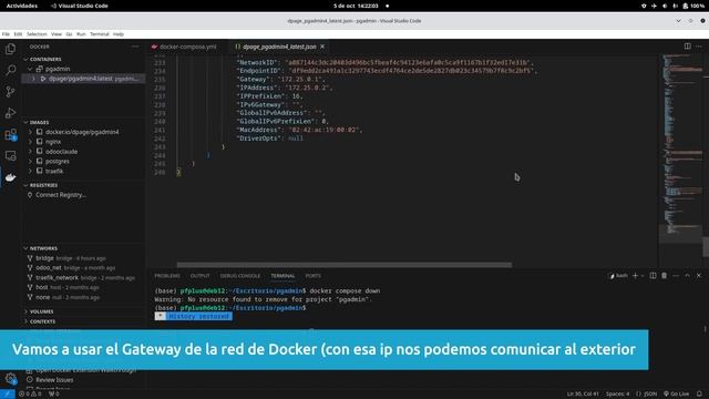 ✅ Gestionando Bases de datos de Odoo con Pg Admin Docker deploy #1 смотреть онлайн