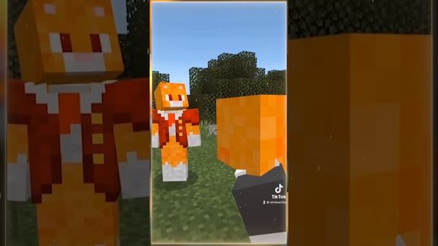 Кто такой Анти-Симба?? (Айсберг Симбы) #симбочка #minecraft #антисимба смотреть онлайн