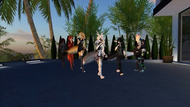 ~WLF~Furry-Dance-Second Life~Delax – Drop You Like