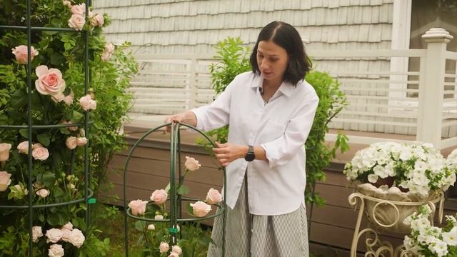 Как сформировать красивые кусты ! Шпалеры для вьющихся растений смотреть онлайн