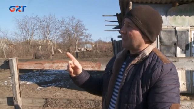 ÇİFTÇİLİK_Выращивание страусов в с.Баурчи 11 02 22 смотреть онлайн