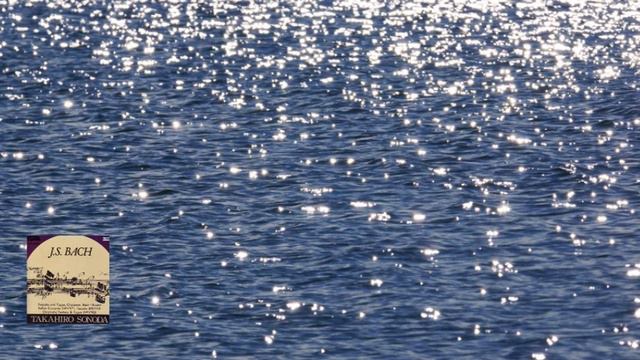 バッハ / ブゾーニ編：トッカータとフーガ ニ短調 園田 高弘 1989 смотреть онлайн