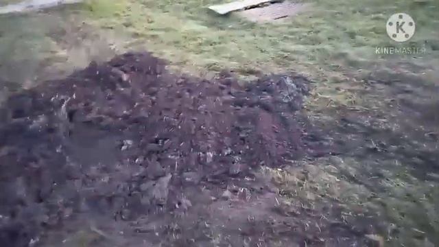 ремонт беломор канала