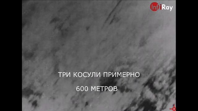 САМЫЙ МАЛЕНЬКИЙ ТЕПЛОВИЗОР InfiRay T2 Pro ОХОТА НА КОСУЛЮ