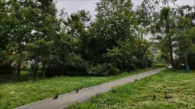 Тухачевского , / бам/ . Владивосток смотреть онлайн