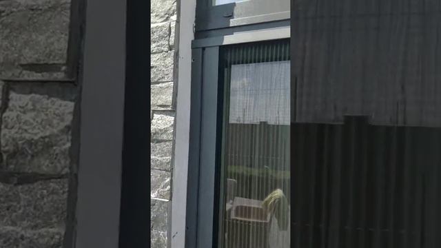 Сетка плиссе на окна, двери, раздвижные с-мы смотреть онлайн