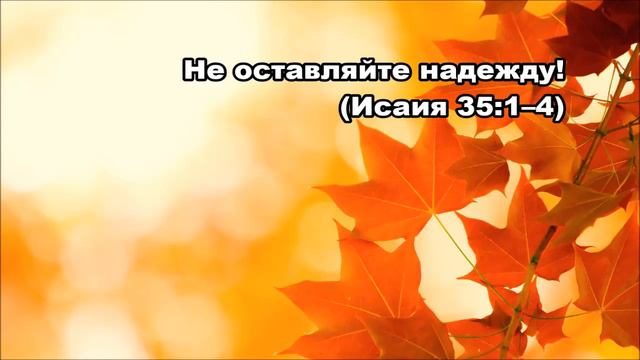 Тихое время с Живой Жизнью: Исаия 35 (11102017) смотреть онлайн