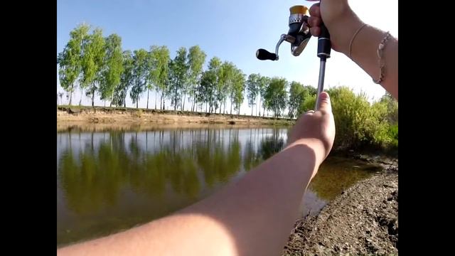 Окунь на съедобную резину Reins Fat G-Tail Grub 2". Ловля весной на микроджиг. Favorite Impulse 792 смотреть онлайн