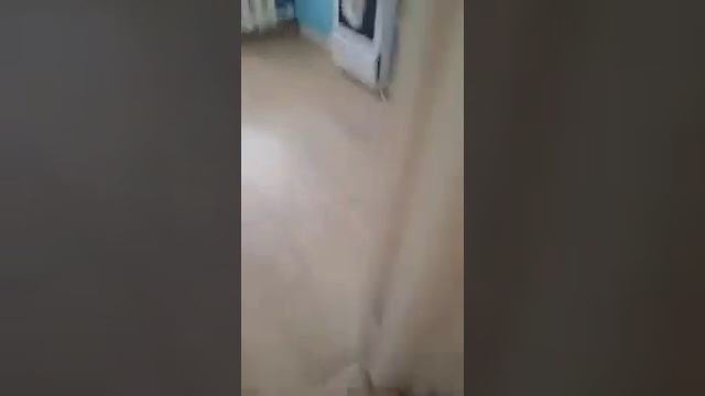 Сын и папин сон