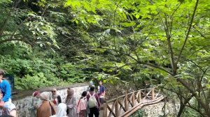 Из Батуми в Трабзон. Озеро Узунгель. Монастырь Панагия Сумела. Что посмотреть в Трабзоне.