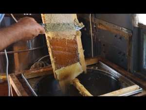 Откачка мёда. Как качают мёд.