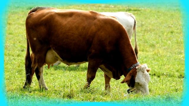 Учимся говорить ПОТЕШКИ для малышей Развивающие мультики для детей Запуск речи смотреть онлайн